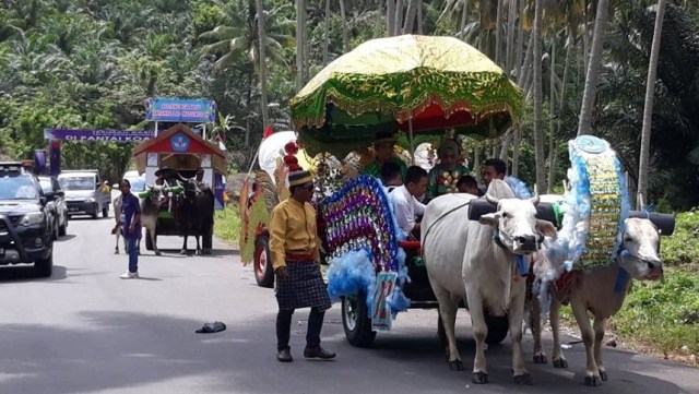 Salah satu gerobak sapi yang dihias sedemikian rupa yang ikut dilombakan di Festival Kayumaloa 2019. Foto: Dok. Abdul Hakim M