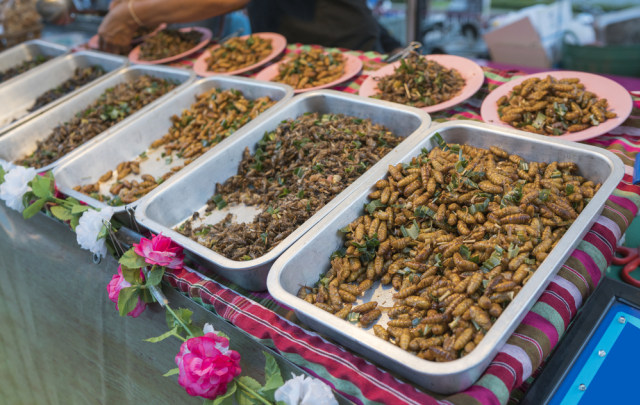 Ilustrasi serangga goreng Foto: dok.shutterstock