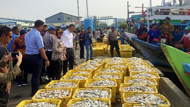 Menteri KKP Edhy Prabowo di Pelabuhan Muara Angke