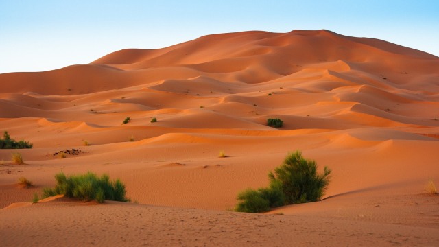 Ilustrasi Sahara Barat. Foto: Shutter Stock