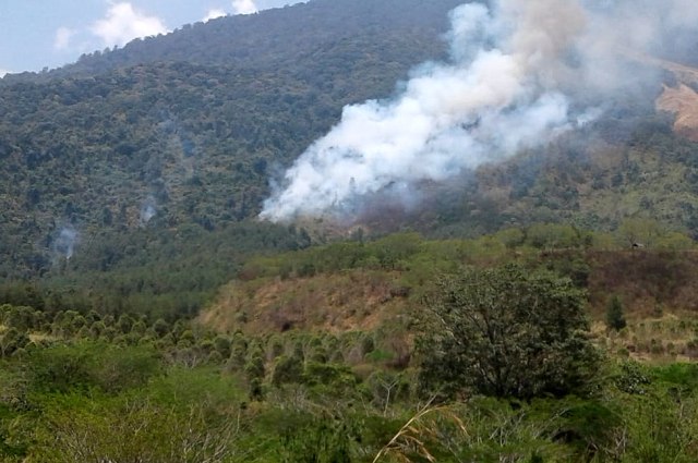 Kepulan asap muncul dari areal hutan Gunung Ciremai, Kabupaten Kuningan, Senin (28/10/2019). (Andri Yanto)