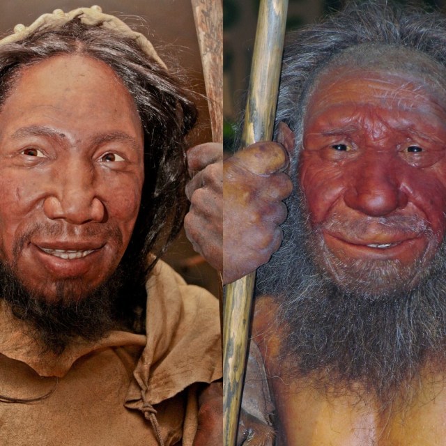 Ilustrasi homo sapiens. Foto: wikimedia.commons.org
