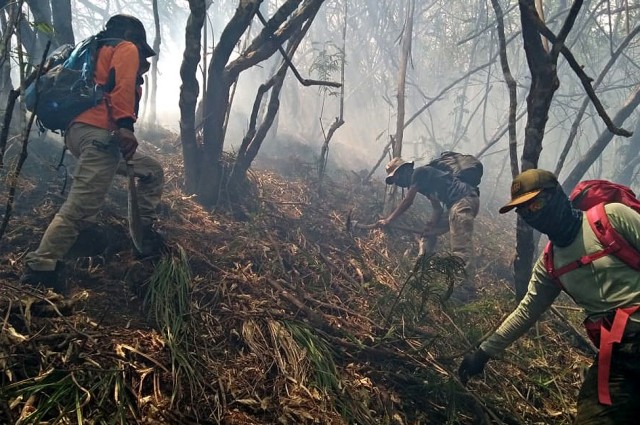 Petugas berusaha memadamkan titik api di kawasan Taman Nasional Gunung Ciremai. (Istimewa)
