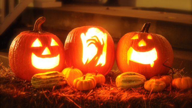 Labu Jack O'Lantern Foto: Pixabay/Robert Davis