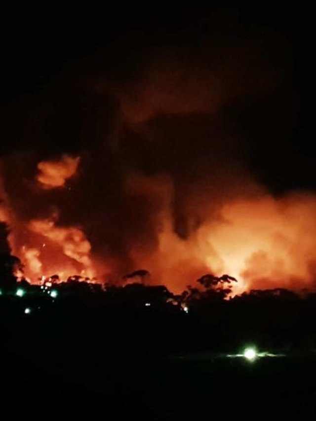 Kebakaran hutan di Australia.  Foto: Facebook/ @Koala Hospital Port Macquarie