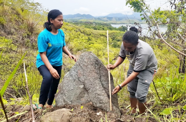 Batu menhir yang ditemukan di Kampung Dondai, Distrik Waibu, Kabupaten Jayapura. (Foto dok: Balai Arkeologi Papua)