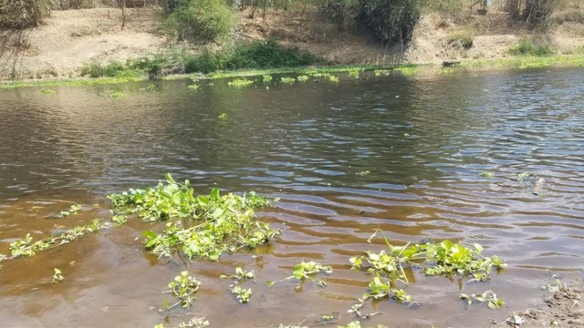 Kondisi Sungai Samin yang saat ini tercemar. (Agung Santoso)