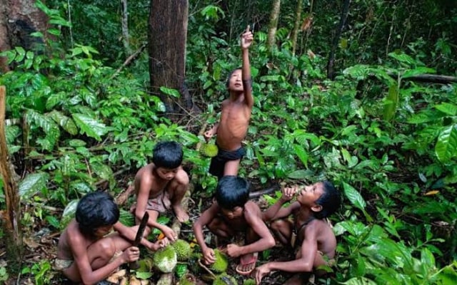 Anak-anak Orang Rimba atau suku anak dalam (SAD). Foto: AMAN