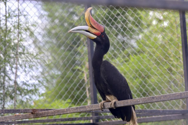 Taman Safari Gunung Putih Lestari (20).JPG