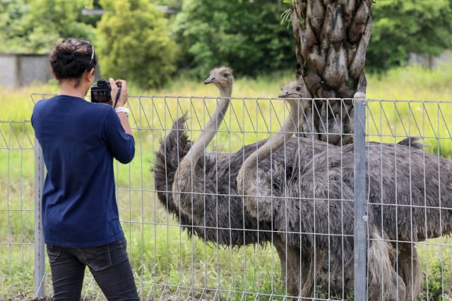 Taman Safari Gunung Putih Lestari (32).JPG