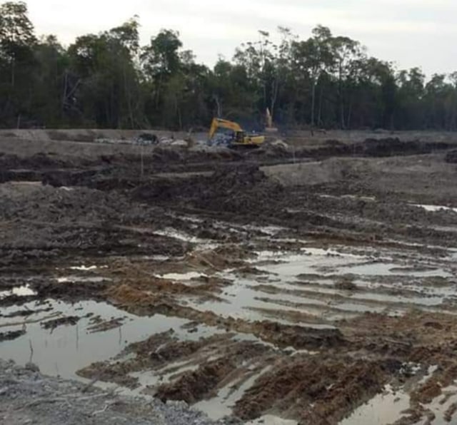 Satu unit escavator tampak sedang menggarap lahan dikawasan Hutan Mangrove. (Md4)