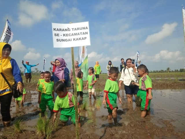 Anak-anak PAUD ikut menanam padi. Foto: Resi Jesita/Hi!Pontianak