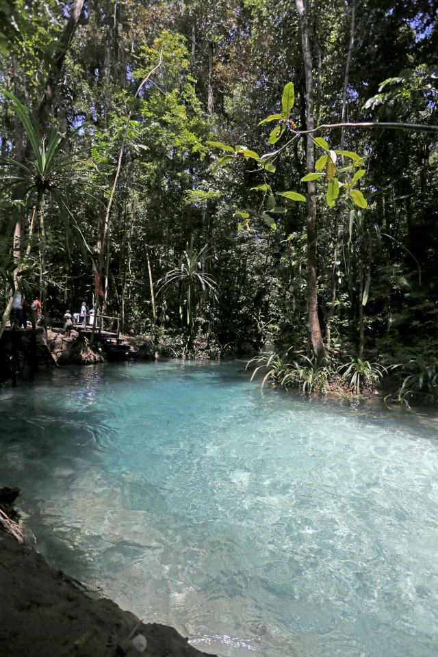 Kalibiru Raja Ampat