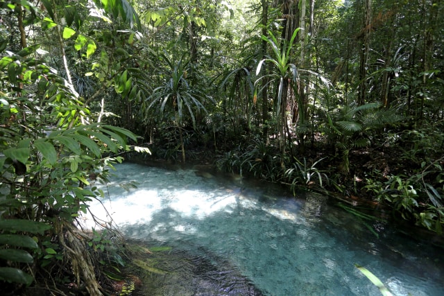 Kalibiru Raja Ampat