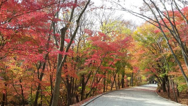 Taman kota di Gyeongju, Korea. Foto: Khiththati/acehkini 