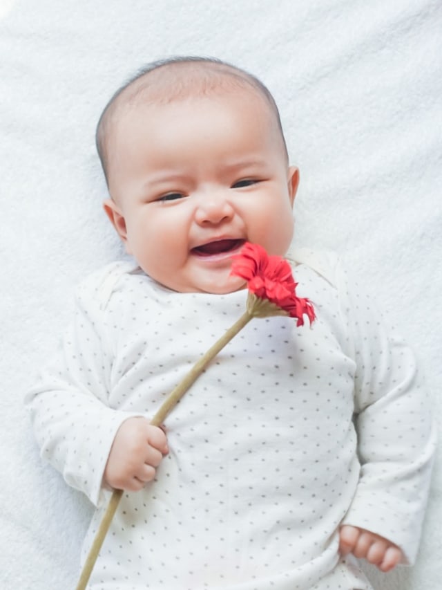 bayi memegang bunga - POTRAIT Foto: Shutterstock