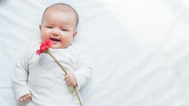 bayi memegang bunga Foto: Shutterstock
