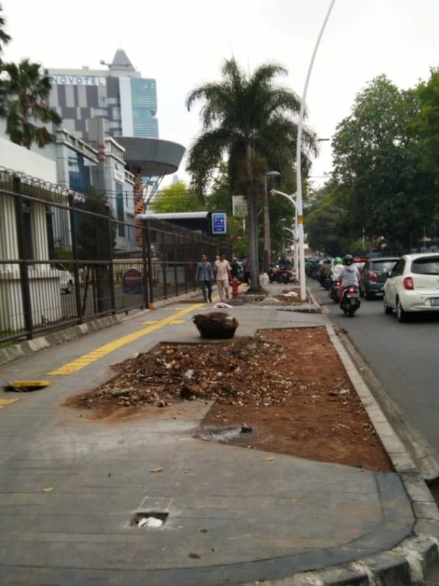 Penebangan pohon di atas pedestrian Jalan Cikini Raya, Jakarta Pusat, Senin (4/11).  Foto: Fachrul Irwinsyah/kumparan