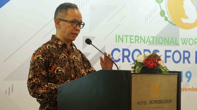 Mendag Targetkan Perundingan GSP dengan AS Rampung Akhir 2019 (154963)