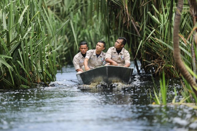 Jagawarna Restorasi Ekosistem Riau. Foto: Dok. RAPP