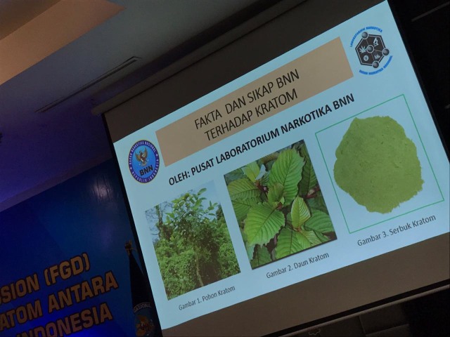 BNN Beri Toleransi Kratom hingga 2022 (95972)
