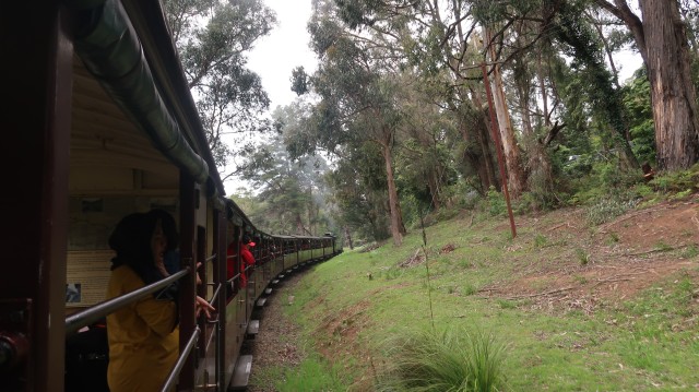Sensasi Jadul Puffing Billy, Kereta Uap di Australia (23641)