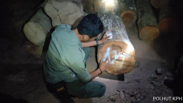 Polhut KPH Kayu Tangi menyita 43 kayu log di Desa Kahelaan, Kecamatan Pengaron, Kabupaten Banjar pada Senin (4/11/2019). Foto: Dishut Kalsel