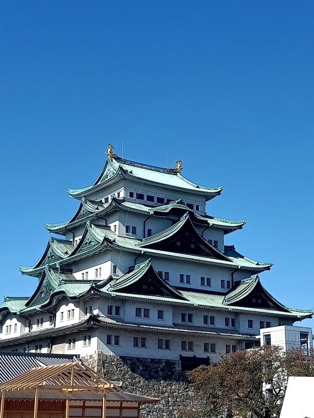 Nagoya Castle di Chubu, Jepang. Foto: Wisnu Prasetyo/kumparan