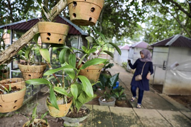 taman safari gurun putih lestari (2).JPG