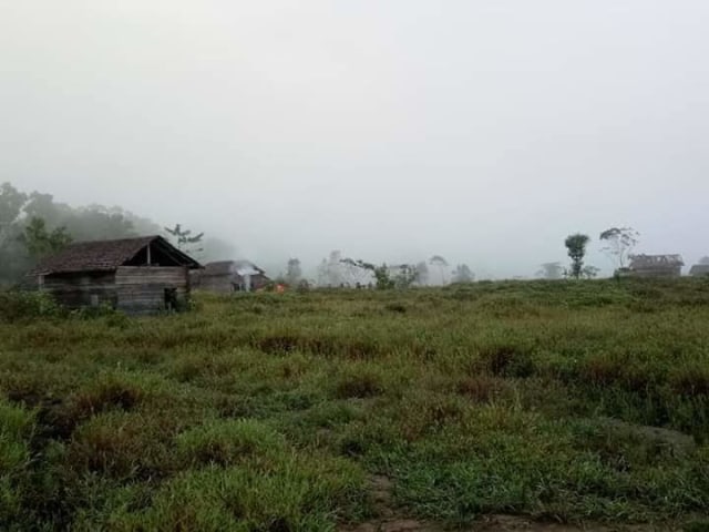Foto: Menelusuri 'Desa Siluman' di Konawe, Sulawesi Tenggara (81963)