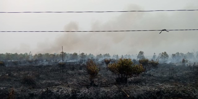 Satu dari puluhan lokasi kebakaran lahan di Palangka Raya, Jumat 8 November 2019.(Foto:Arnoldus)