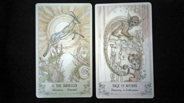 The Traveller, Page of Acorns. (Foto: Lidia Pratiwi)