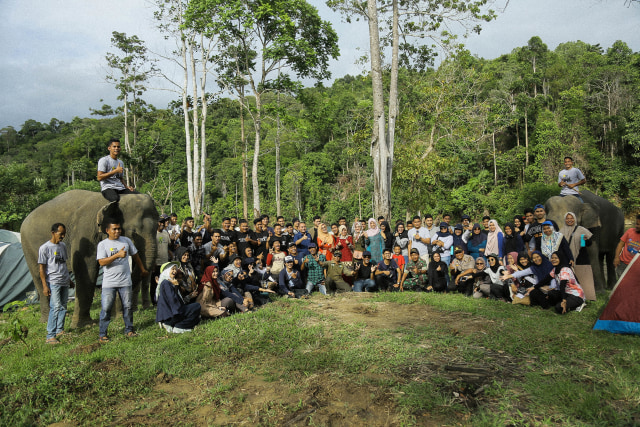Foto: Melihat Serunya Kamping Bareng Gajah di CRU Sampoiniet, Aceh (102633)