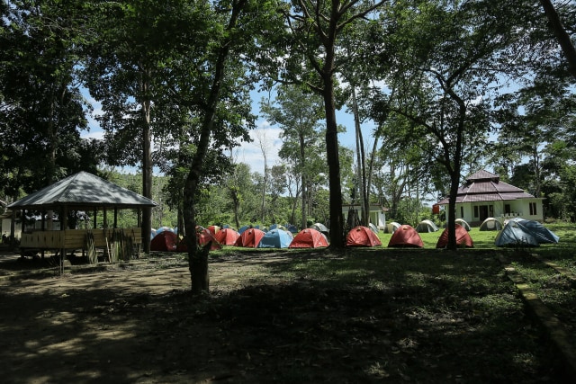 Foto: Melihat Serunya Kamping Bareng Gajah di CRU Sampoiniet, Aceh (102631)
