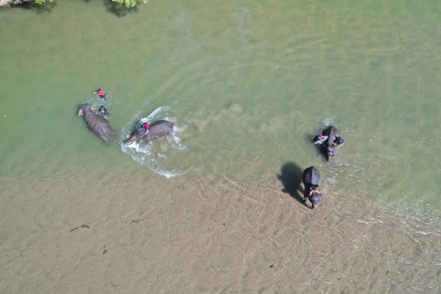 Foto: Melihat Serunya Kamping Bareng Gajah di CRU Sampoiniet, Aceh (102636)