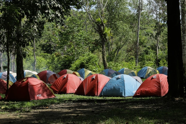 Foto: Melihat Serunya Kamping Bareng Gajah di CRU Sampoiniet, Aceh (102641)