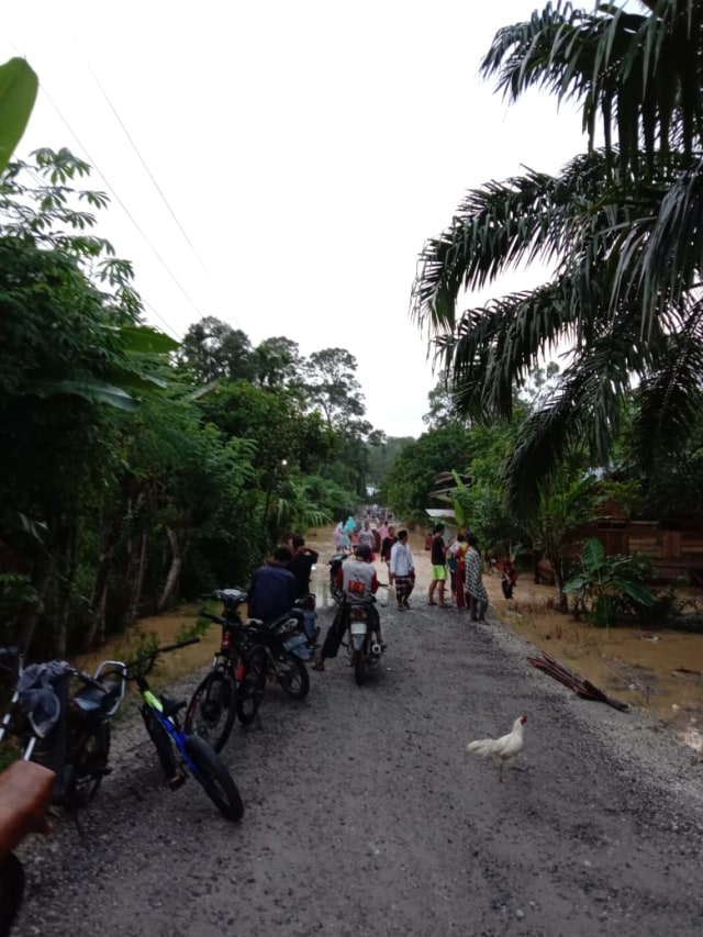 Wilayah terendam banjir di kawasan Kecamatan Birem Bayeun, Aceh Timur. Dok, BPBD Aceh Timur 