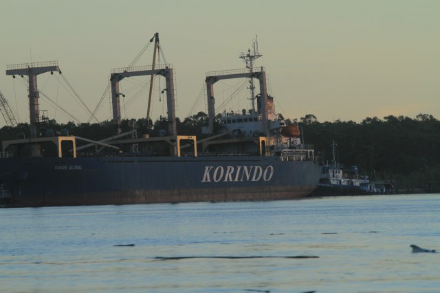 Kapal Korindo yang beroperasi di Papua bagian selatan. (BumiPapua.com/Abdel Syah)