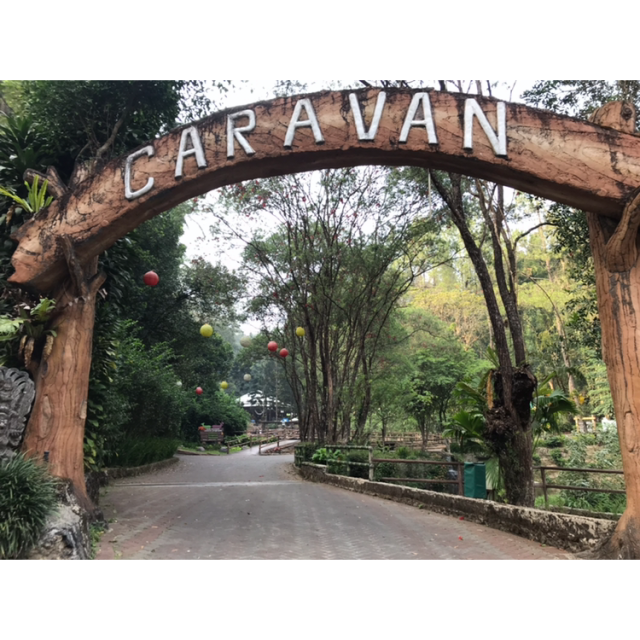 Safari Lodge Hotel: Menginap Asik dan Nyaman ala Safari