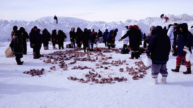 Melihat Uniknya Kuliner Inuit Kumparan Com