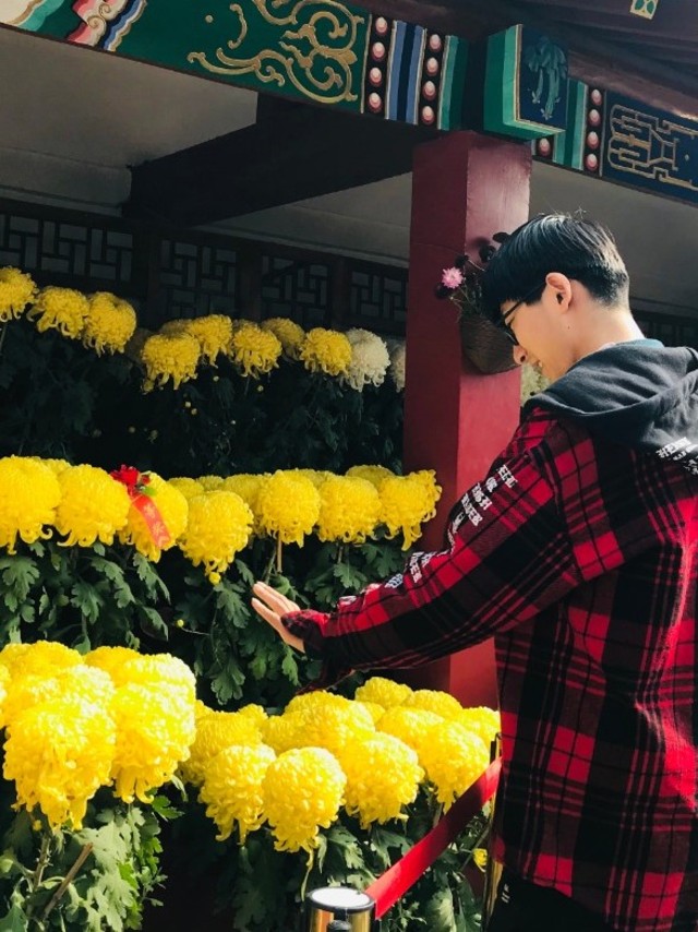 Pengunjung melihat bunga krisan di Istana Kekaisaran Dinasti Song, Kaifeng, Provinsi Henan, China. Foto: Rizki Maulida/acehkini