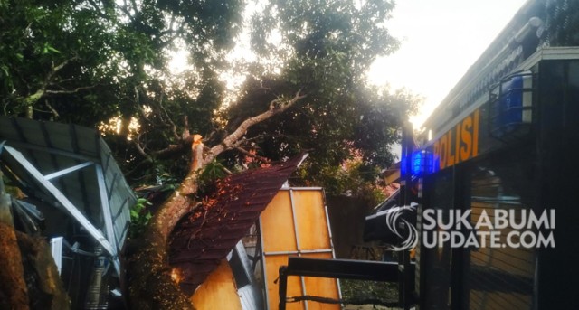 Pohon mangga di Kampung Cihurang, Desa Cidadap, Kecamatan Simpenan, Kabupaten Sukabumi yang tumbang menimpa depot isi ulang air minum, Jumat (15/11/2019). | Sumber Foto:Nandi
