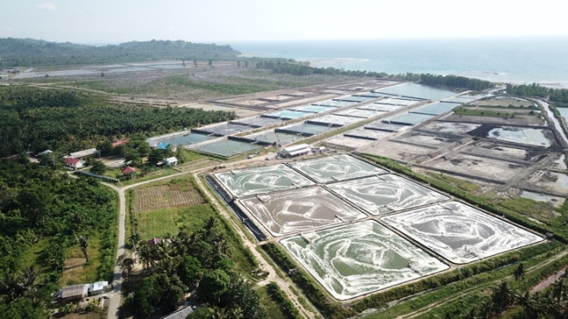 Kegiatan perikanan budidaya air tawar dan di pesisir menjadi salah satu andalan produksi perikanan nasional. Foto: Dok. KKP