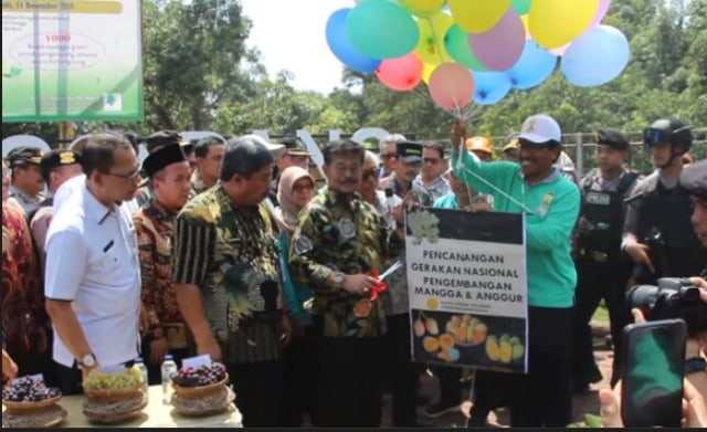 Mentan Syahrul Launching Mangga dan Anggur Jenis Baru di Pasuruan (422225)