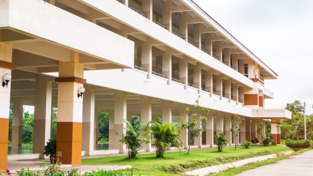 Ilustrasi gedung sekolah anak Foto: Shutterstock