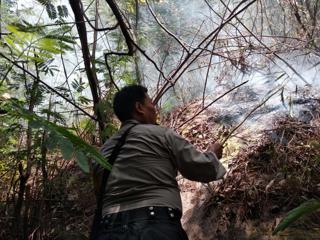Warga masyarakat sekitar dan potensi relawan melakukan proses pemadaman Karhutla di Kabupaten Magetan, Jawa Timur. Foto: Dok. Pusdalops BPBD Prov. Jawa Timur 