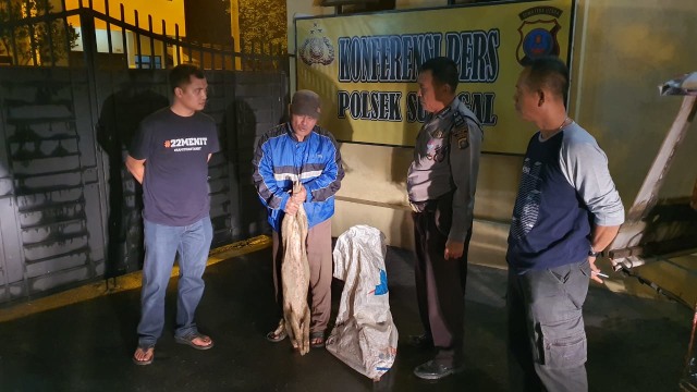 Polisi tangkap Sinar (jaket biru) karena membuang bangkai babi. Foto : SumutNews
