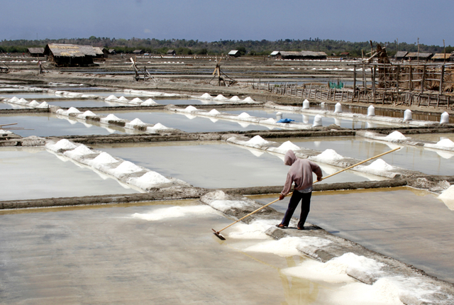 Petani memanen garam di Kelurahan Pallengu, Bangkala, Jeneponto, Sulawesi Selatan. Foto: ANTARA FOTO/Arnas Padda