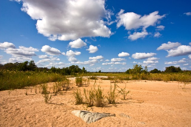 Kruger_National_Park_Landscape_2.jpg