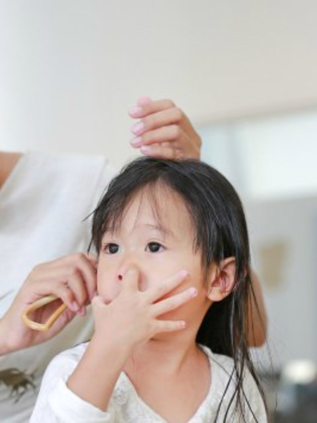 Ilustrasi mengatasi kutu di rambut anak. Foto: Thinkstock